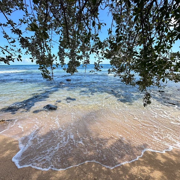 Meet your Posher, Xazkiah - Picture 1 of 1